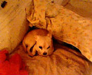 photo001.jpg