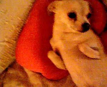 photo003.jpg